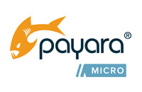Payara Micro